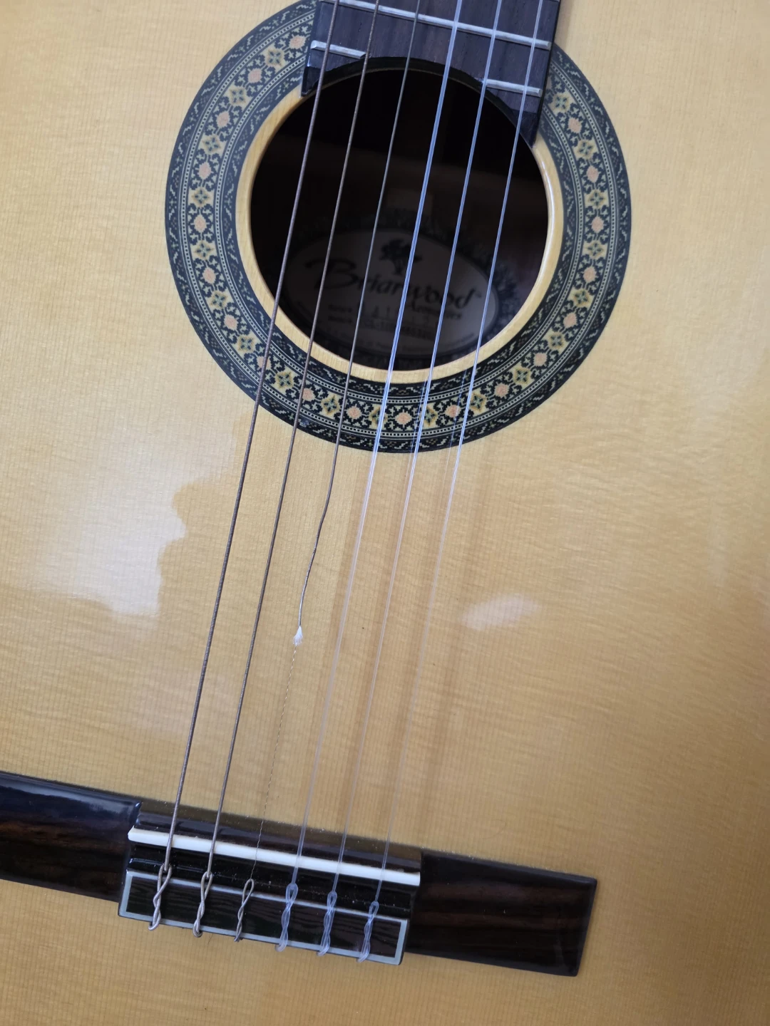 Briarwood YCL-1 Guitar with Case and Stand - photo 4