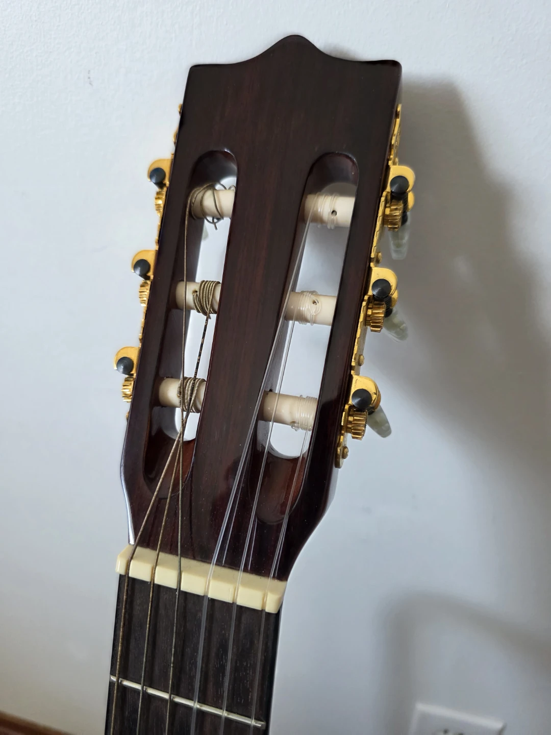 Briarwood YCL-1 Guitar with Case and Stand - photo 5