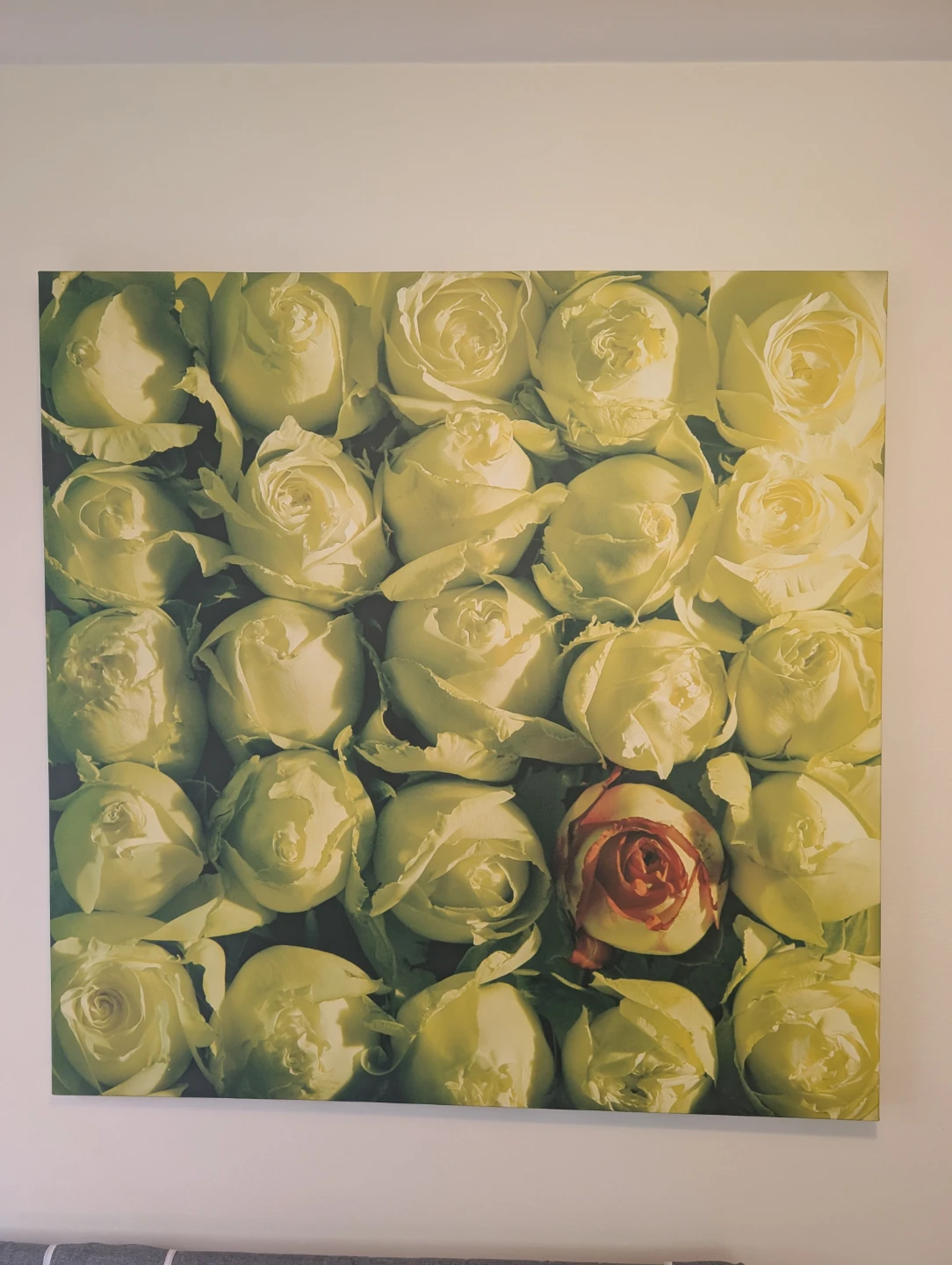 Large rose canvas - photo 2