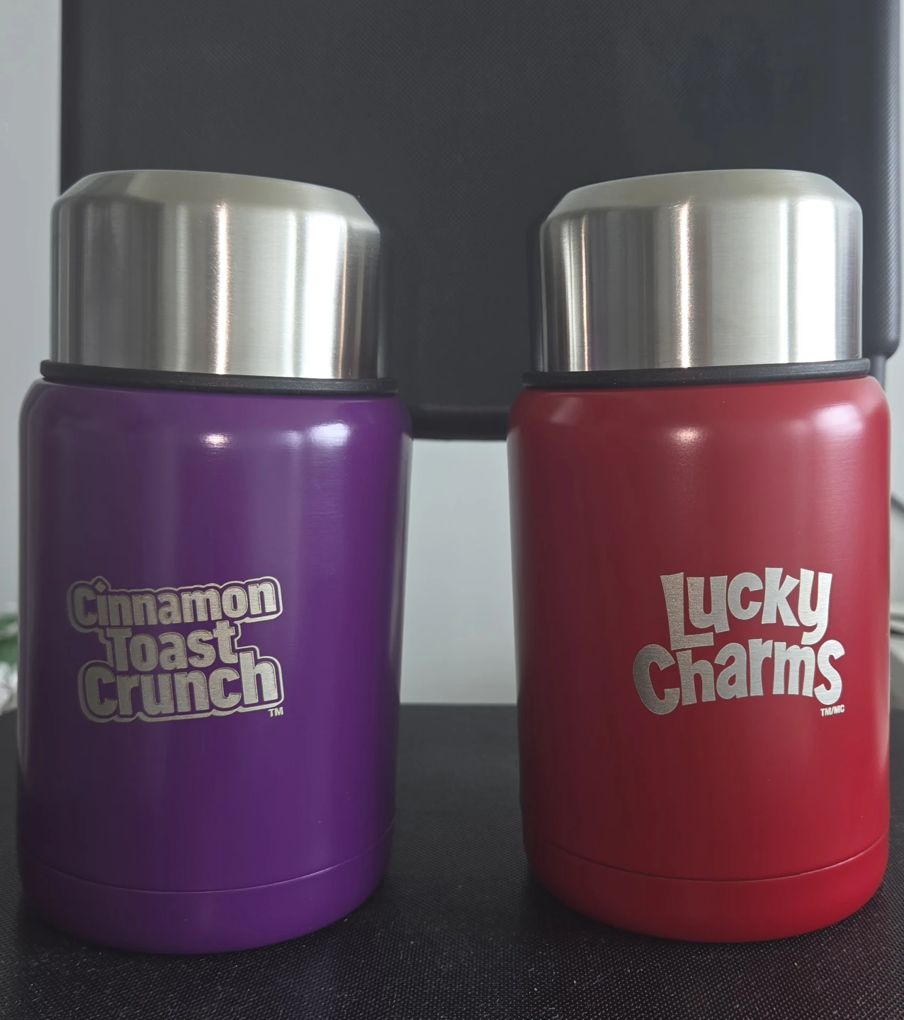 A pair of brand new, very beautiful 16 oz Insulated Food Jars