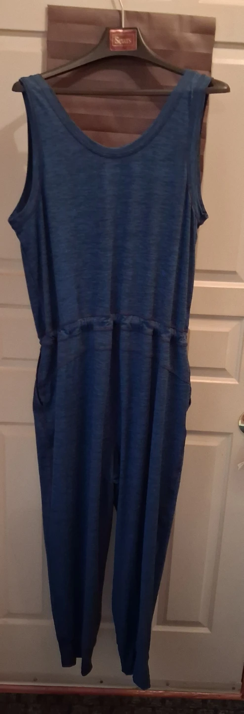 Joe Fresh Blue Sleeveless Jumpsuit. Large