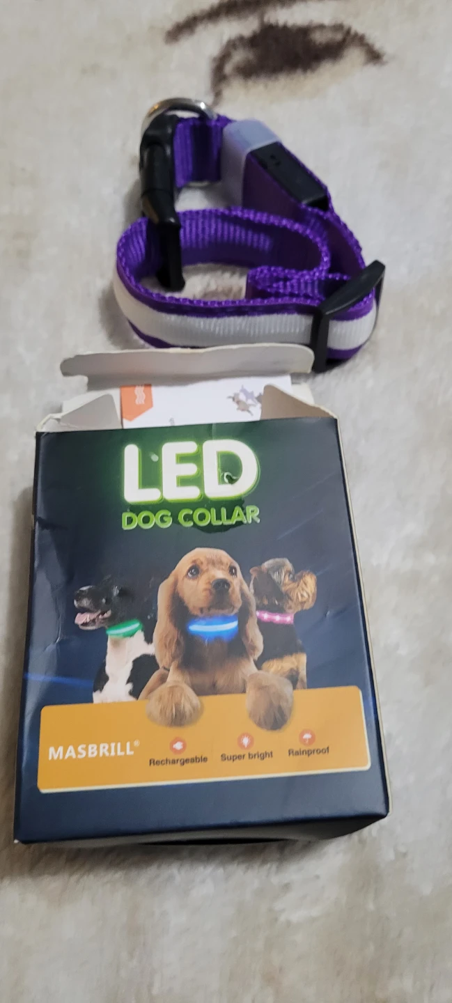 MASBRILL LED Dog Collar - Purple - photo 2