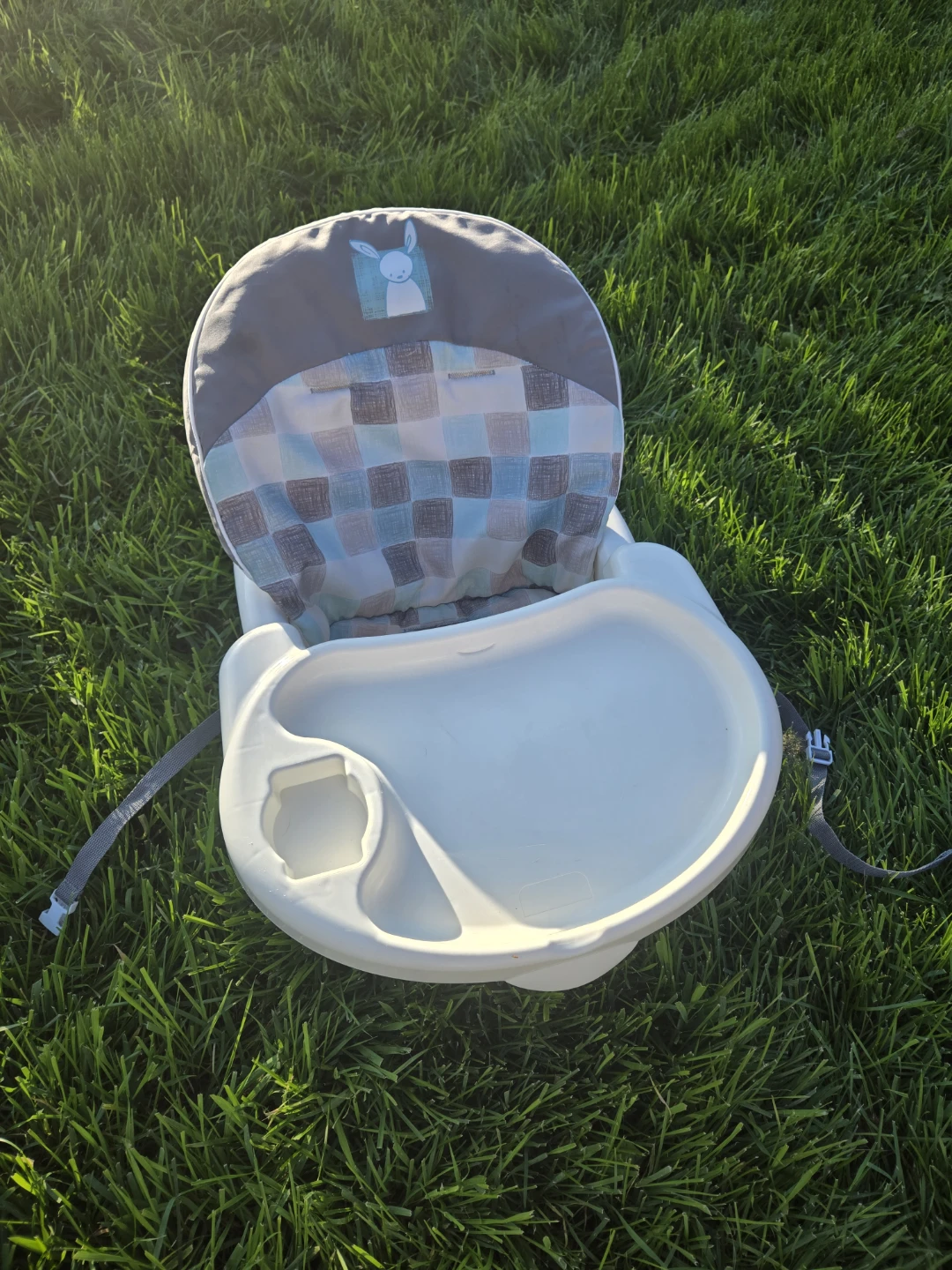 Infant Booster Seat