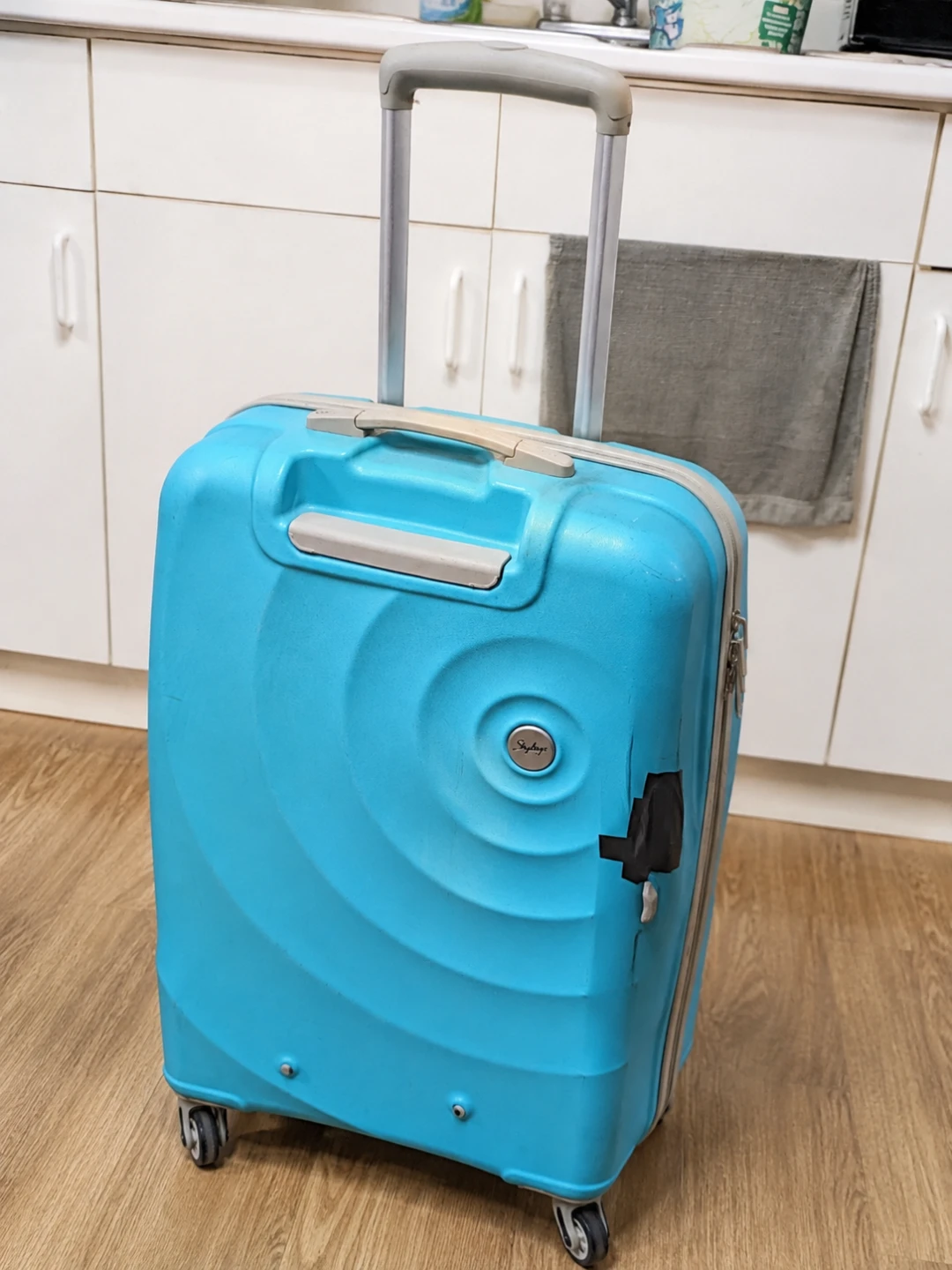 Skybags Blue Hardshell Spinner Luggage