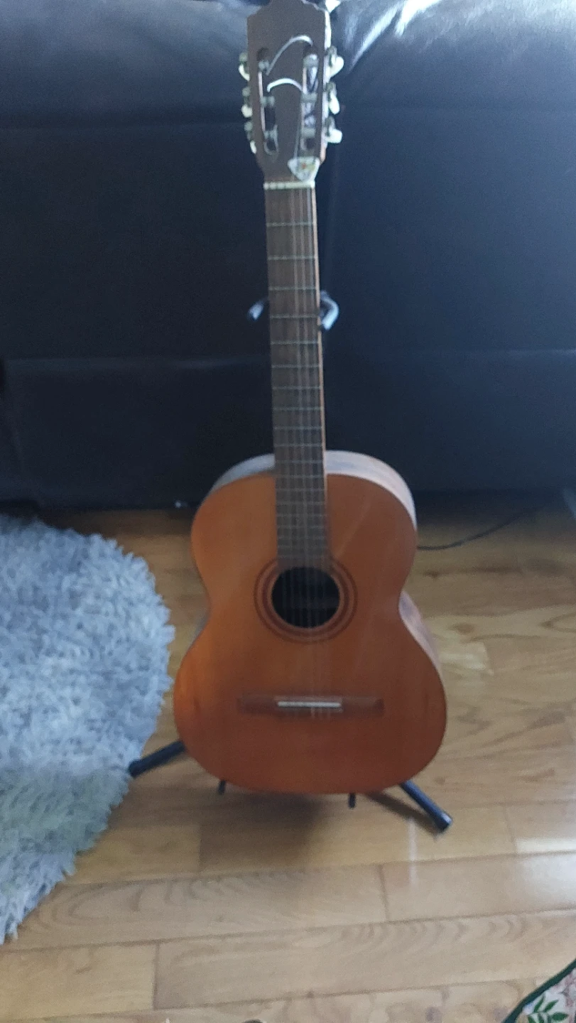 Classical Acoustic Guitar