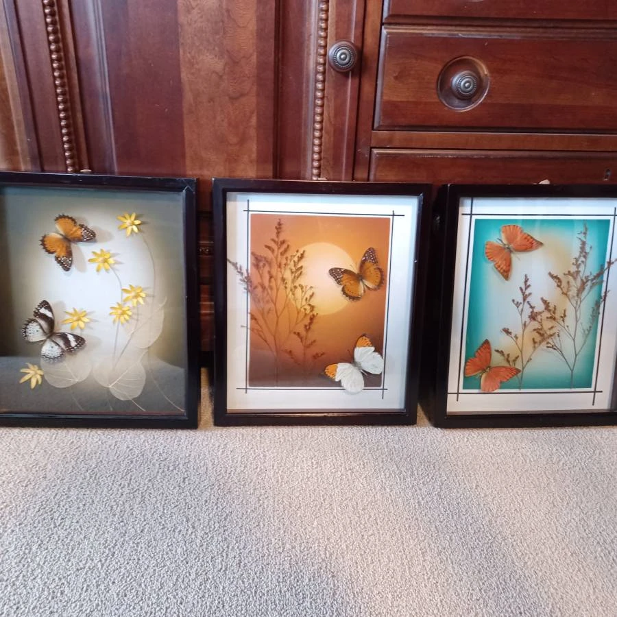 Framed Butterfly and Botanical Art - Set of 3