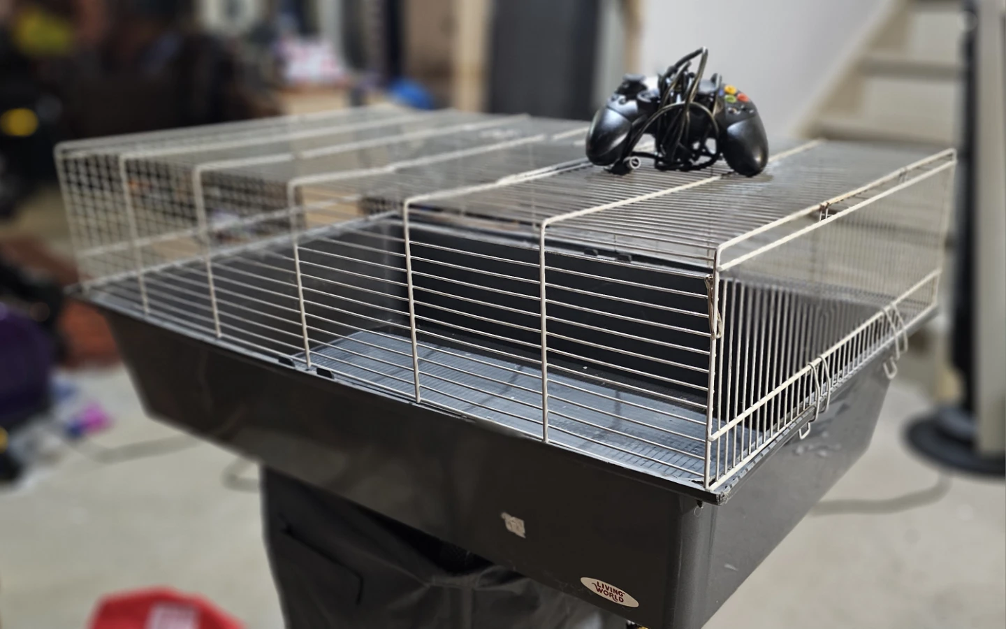 Large Animal cages, rats, rabbit, hamsters etc.