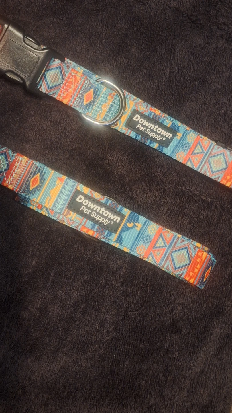 Dog collar and leash