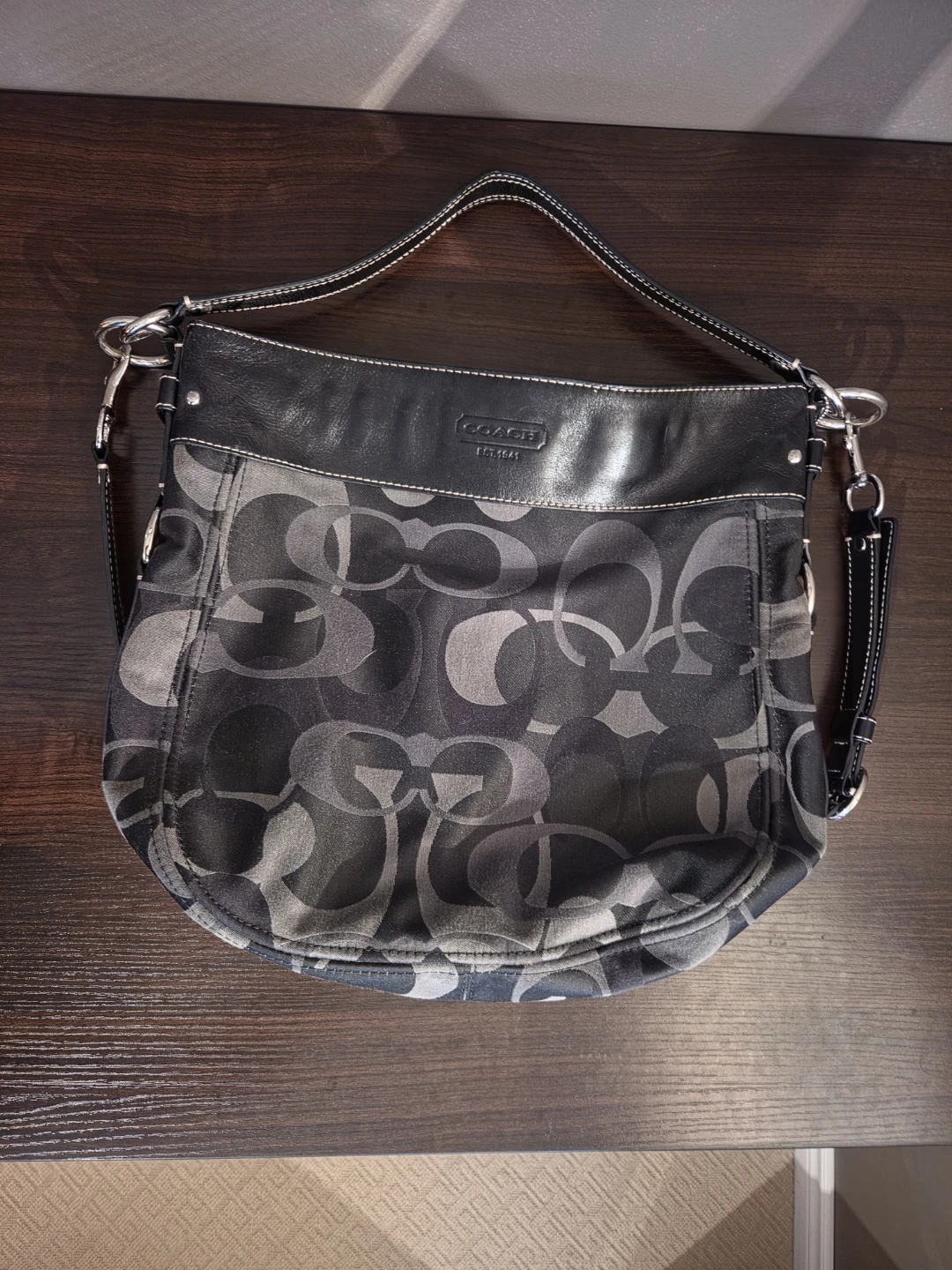 Coach Y2K Zoe Hobo Bag