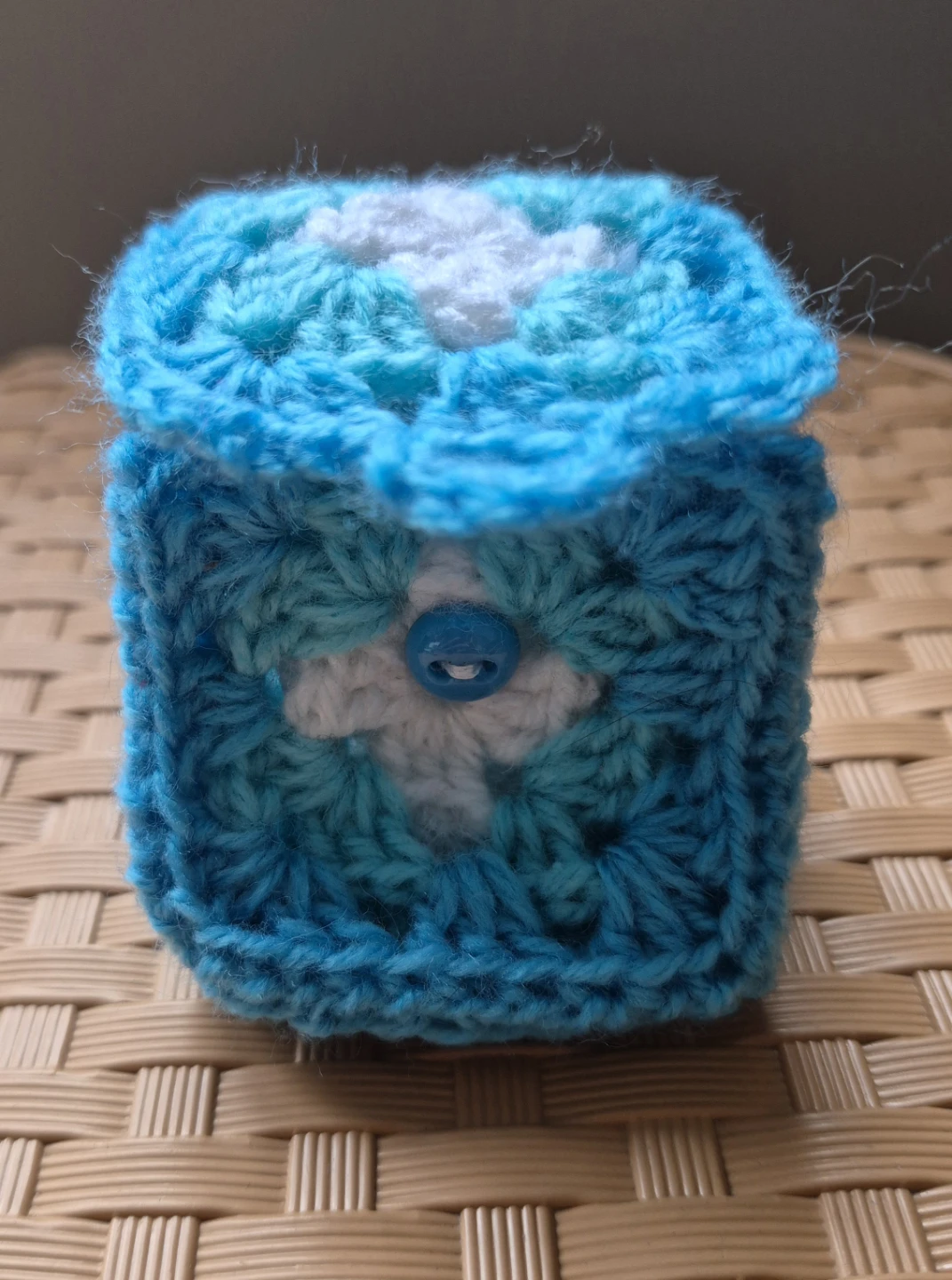 Crocheted Pouch