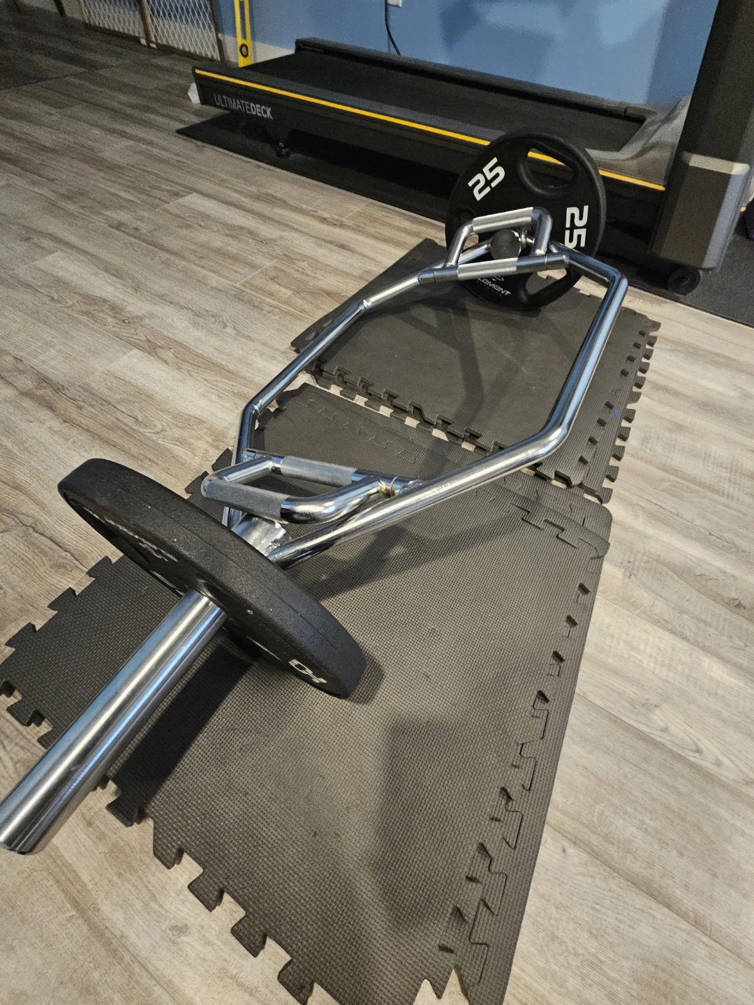 Synergee trap bar and weights price firm