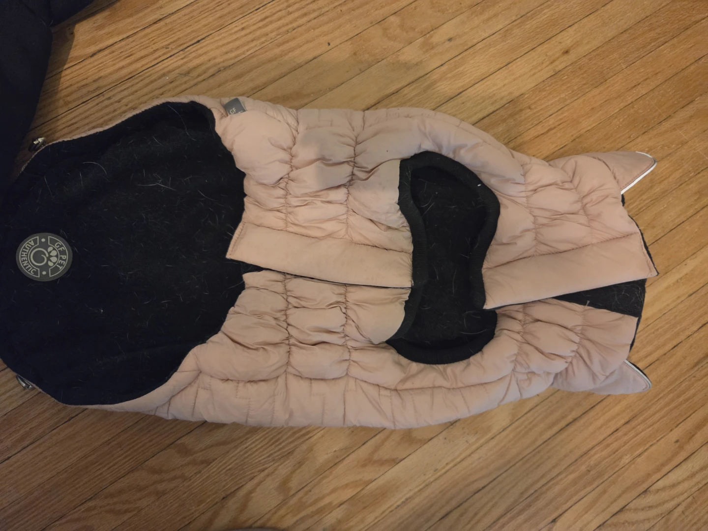 Brave Bark and GF Pet Dog Jackets