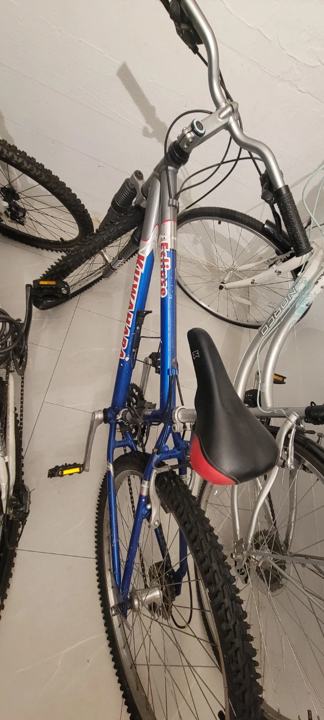 Kuwahara Eclipse Mountain Bike