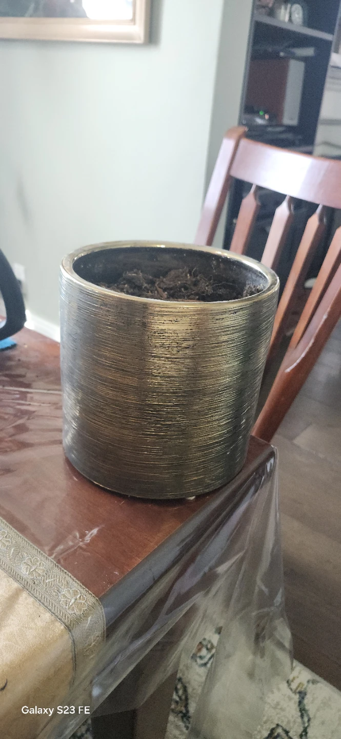 Decorative Planter Pot - Gold