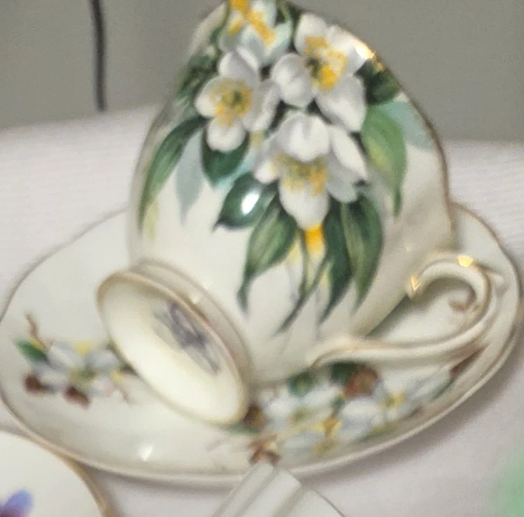 China cup and saucer. Almost a match