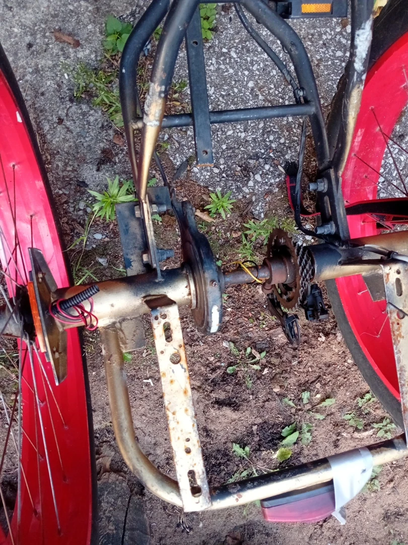 Adult Fat Tire Tricycle