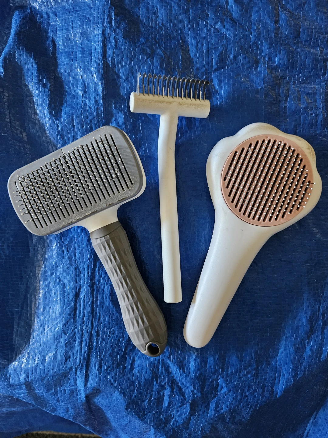 Cat Grooming Brush & Comb Set - used - photo 2