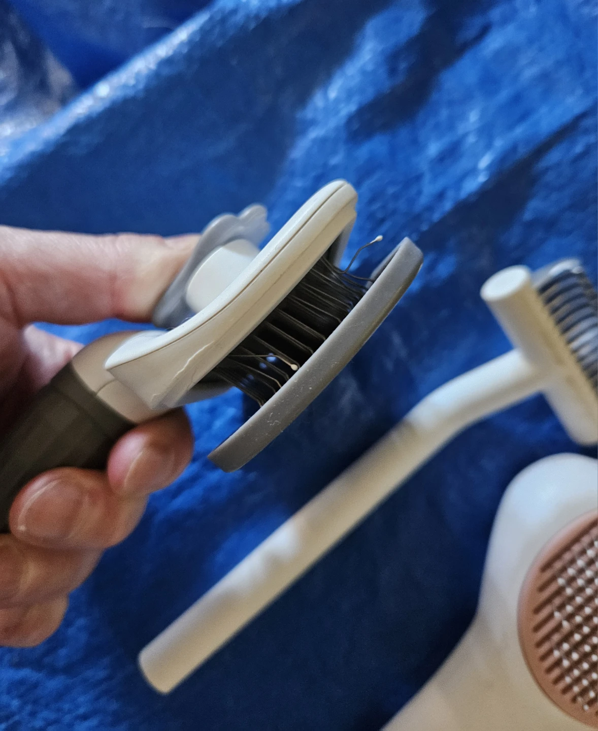 Cat Grooming Brush & Comb Set - used - photo 4