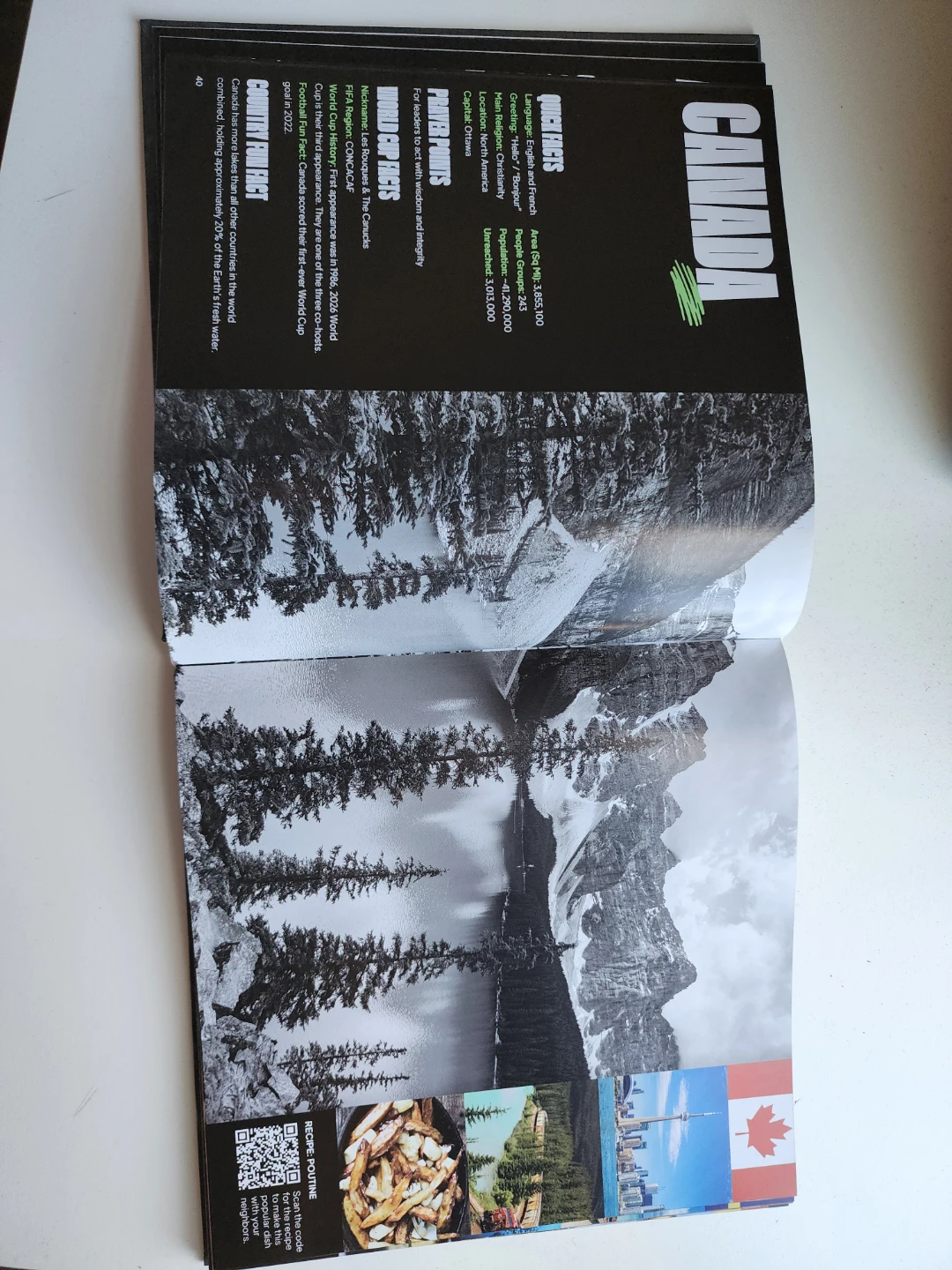 Victory Beyond the Cup Nations Book - photo 2