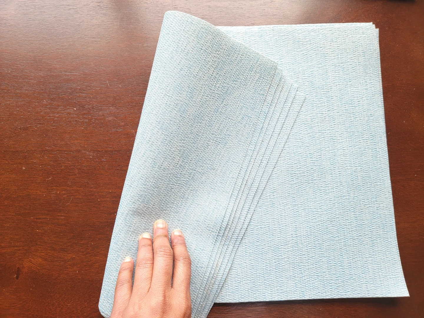 Light Blue Placemats (Set of 6)