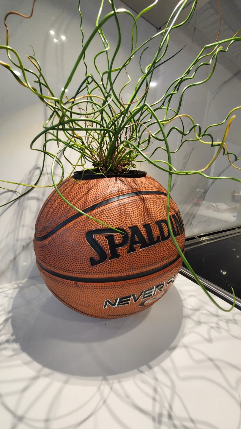 Upcycled basketball planter with plant - photo 3