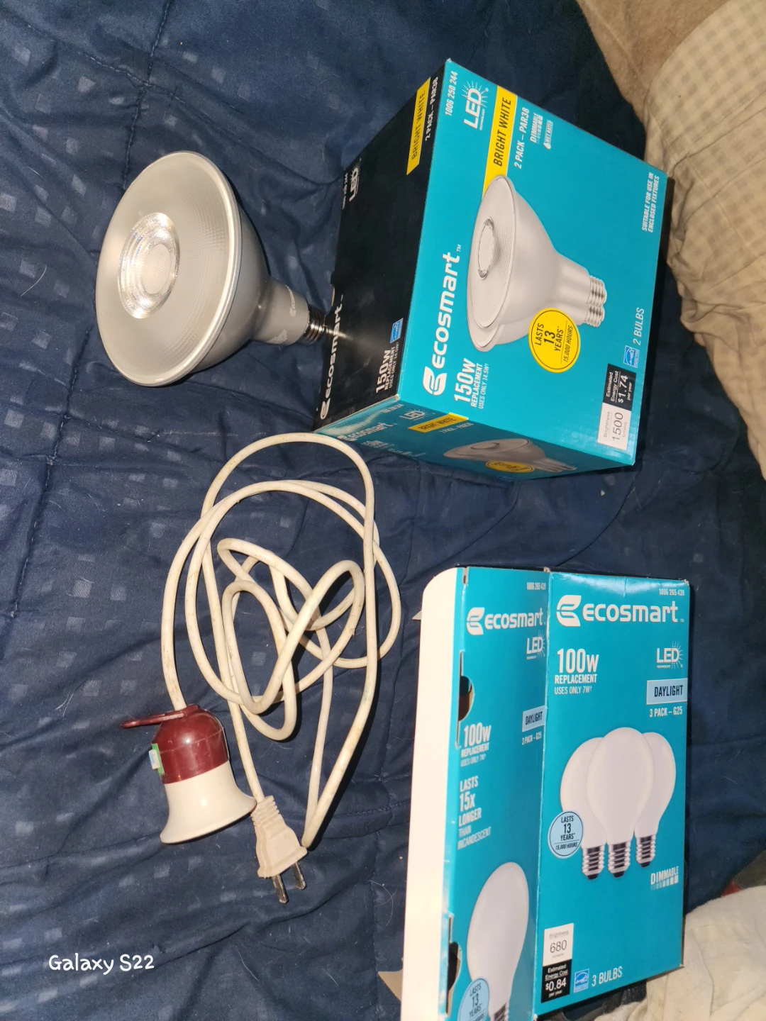 Ecosmart LED Bulbs and Spot Light Fixture