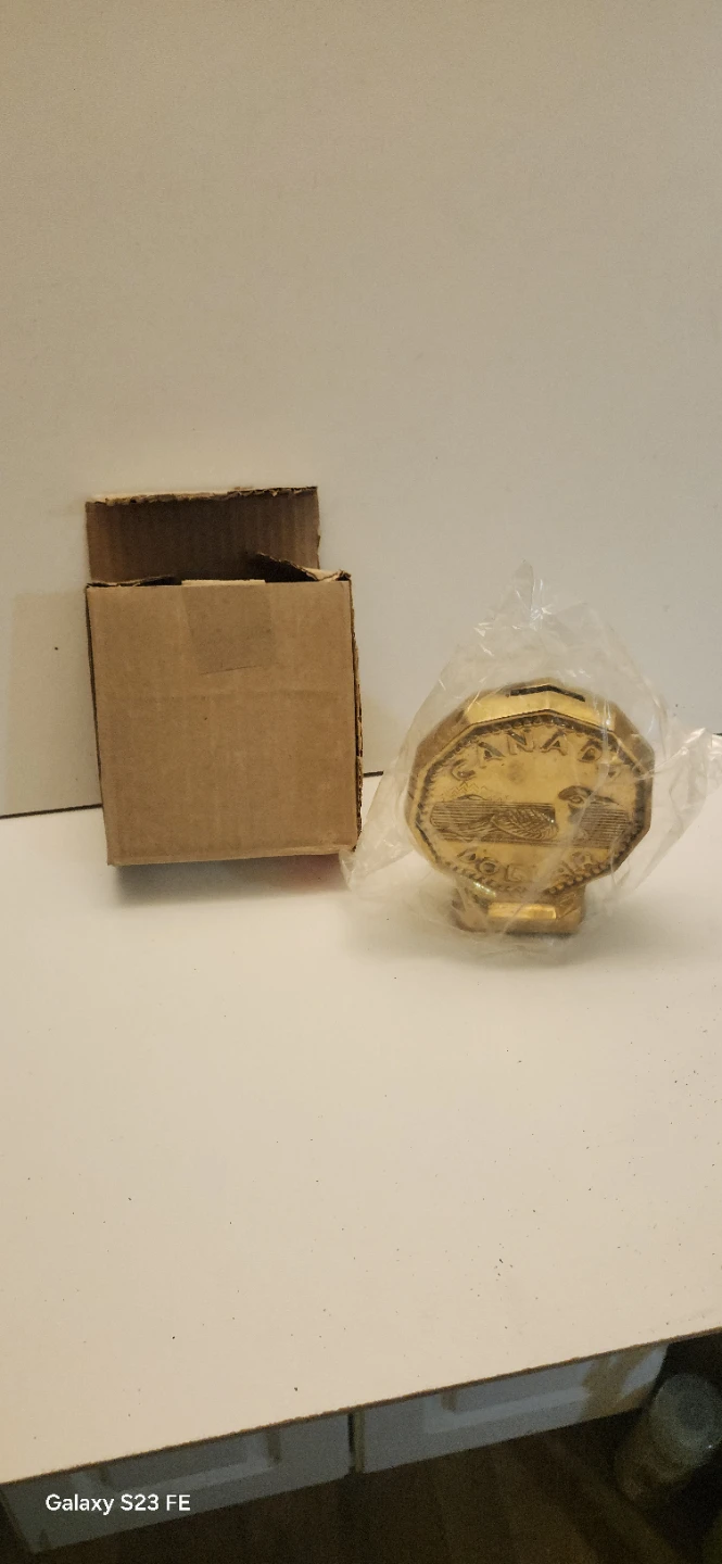 Canadian Dollar Coin Piggy Bank 5 inches × 4 inches