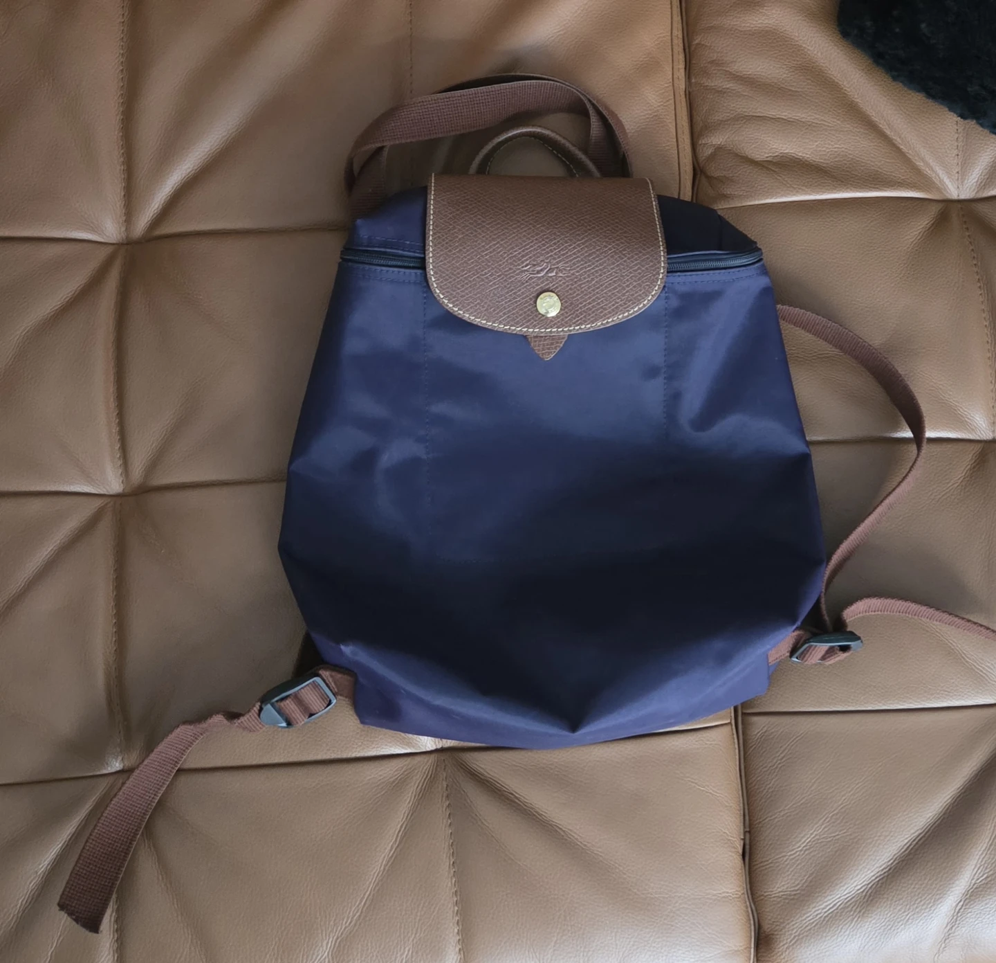 Longchamp Le Pliage Backpack