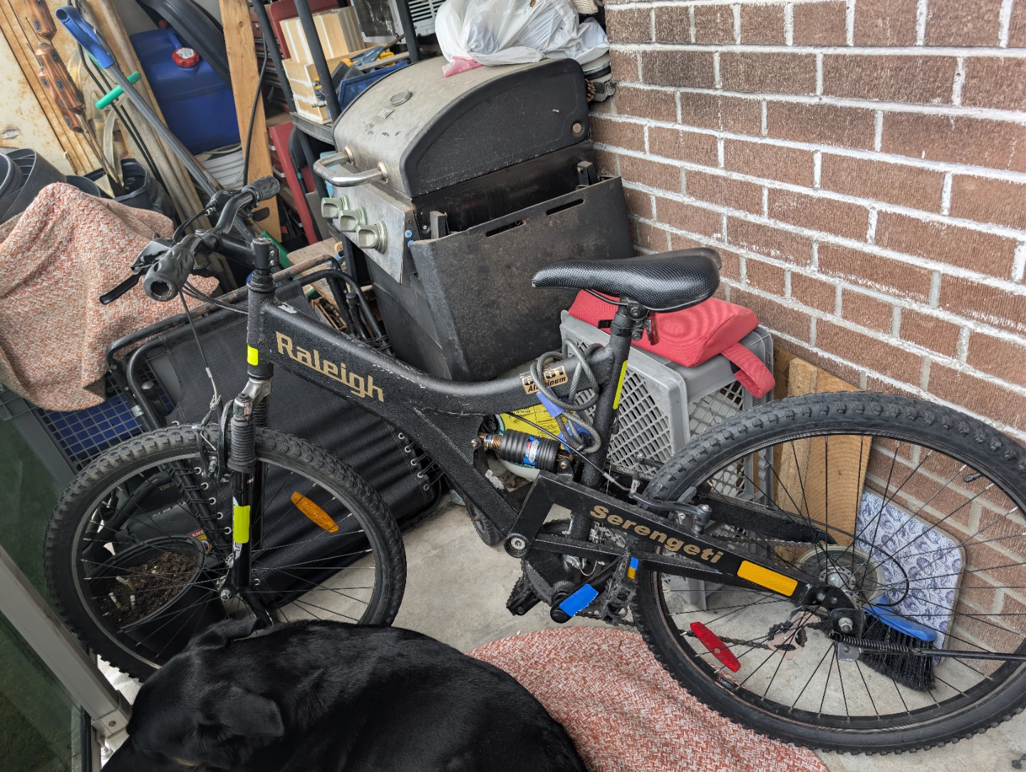 Raleigh Serengeti Mountain Bike - photo 5