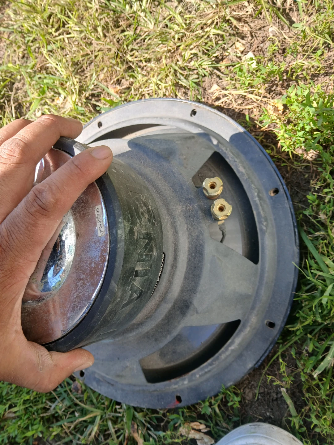 Insignia Subwoofer Speaker - photo 4