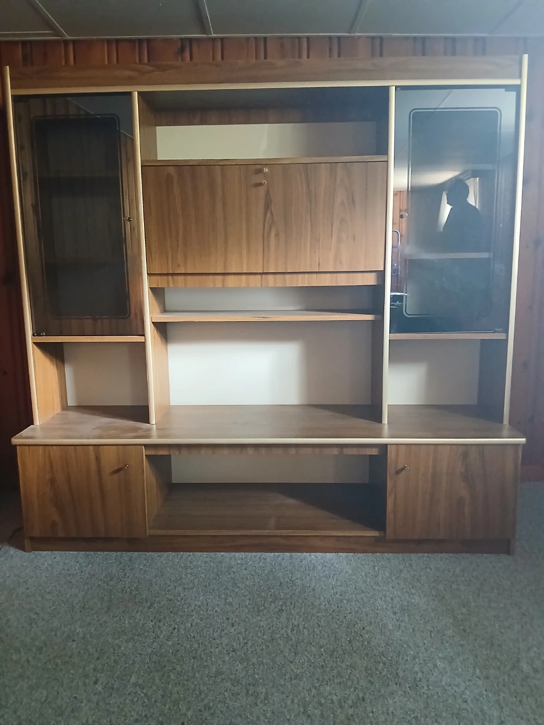 Hurry up!!!!!  Vintage Wood Entertainment Unit with Glass Doors - photo 2