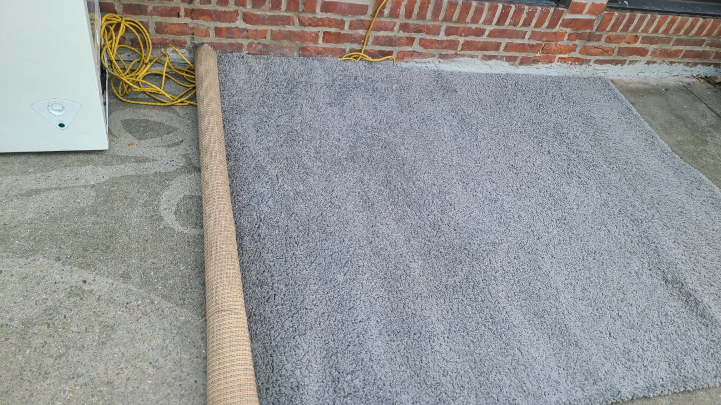 Gray Shag Rug