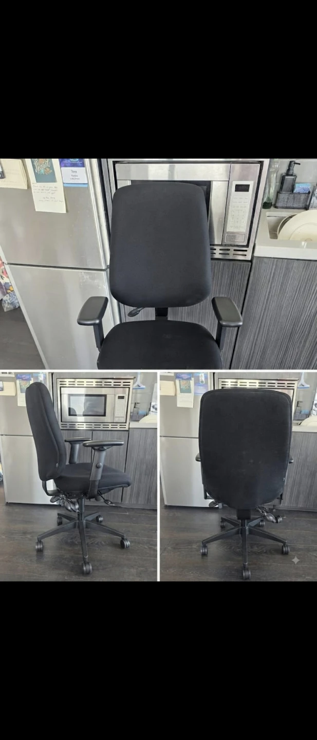 High-Back Ergonomic Office Chair- Needs to go ASAP- Moving Sale