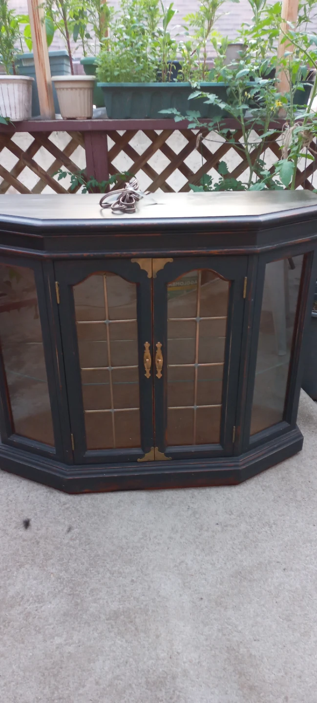 Corner Cabinet with Glass Doors - photo 4
