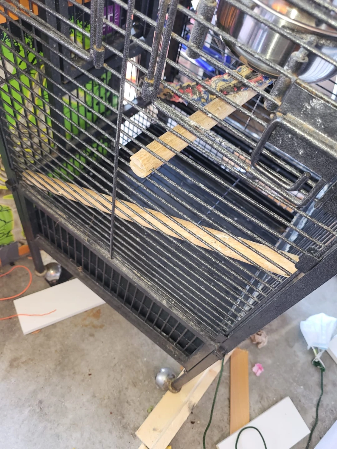 Bird cage - photo 4