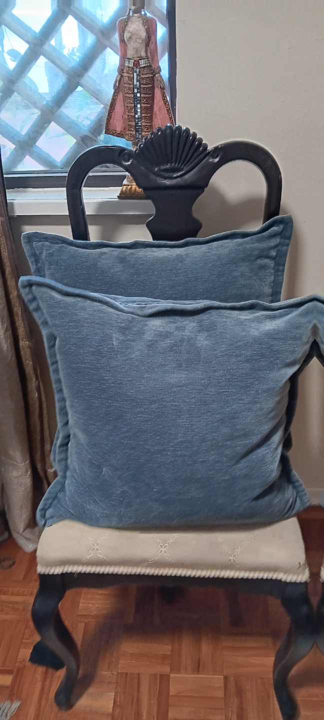 2 Decorative Throw Pillows