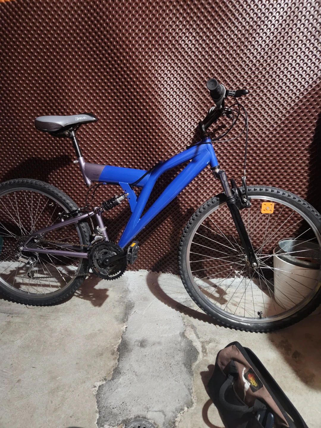 Blue Mountain Bike