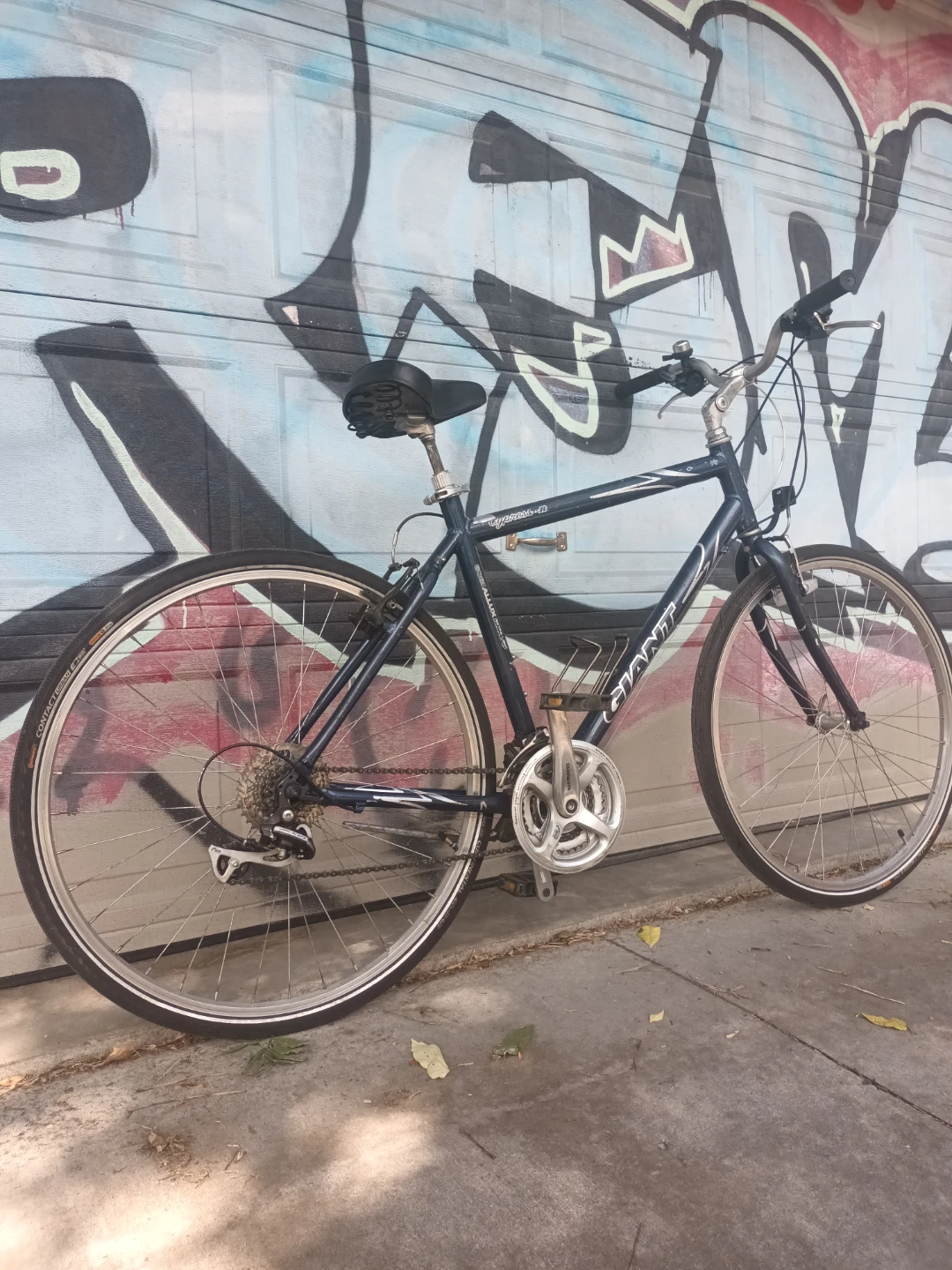 Giant Cypress Bike - photo 4