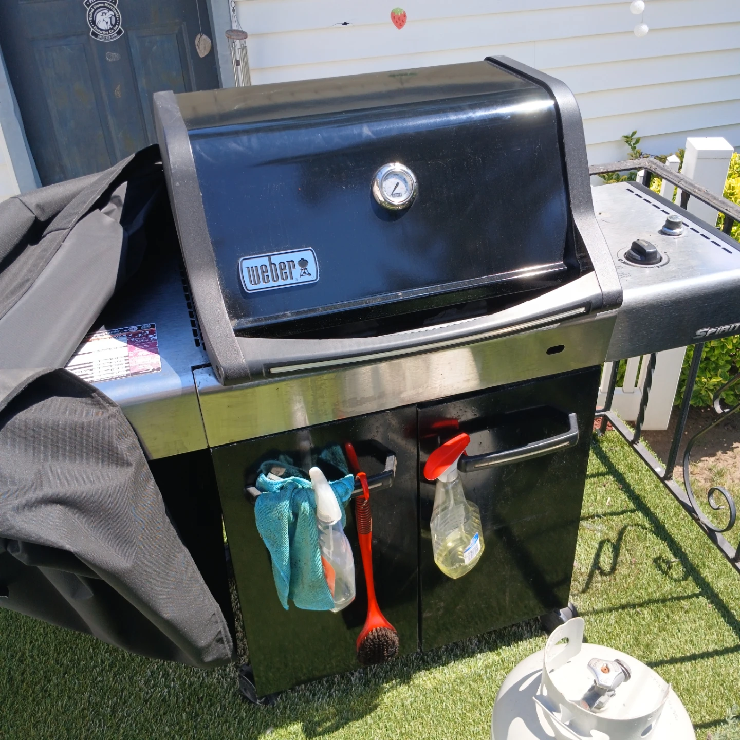 Weber Spirit Gas Grill needs regulator