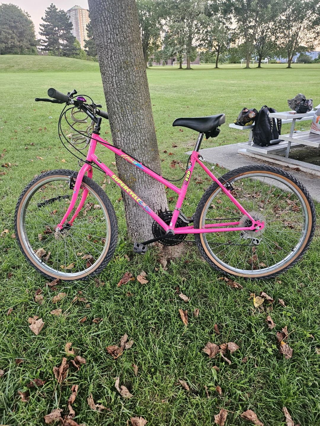 Diamondback SuperSport Pink Mountain Bike - photo 2