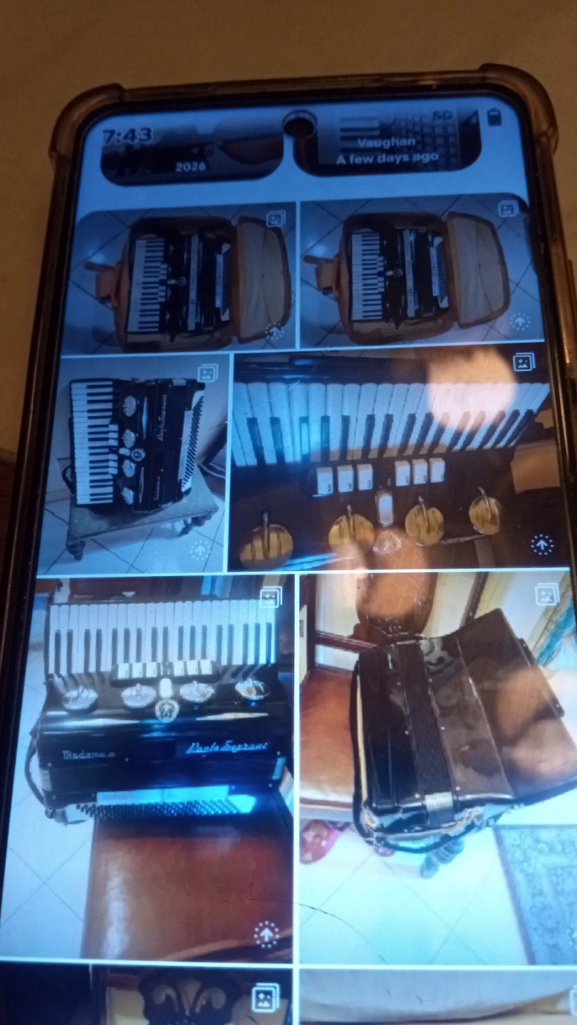 Vintage accordion - photo 3