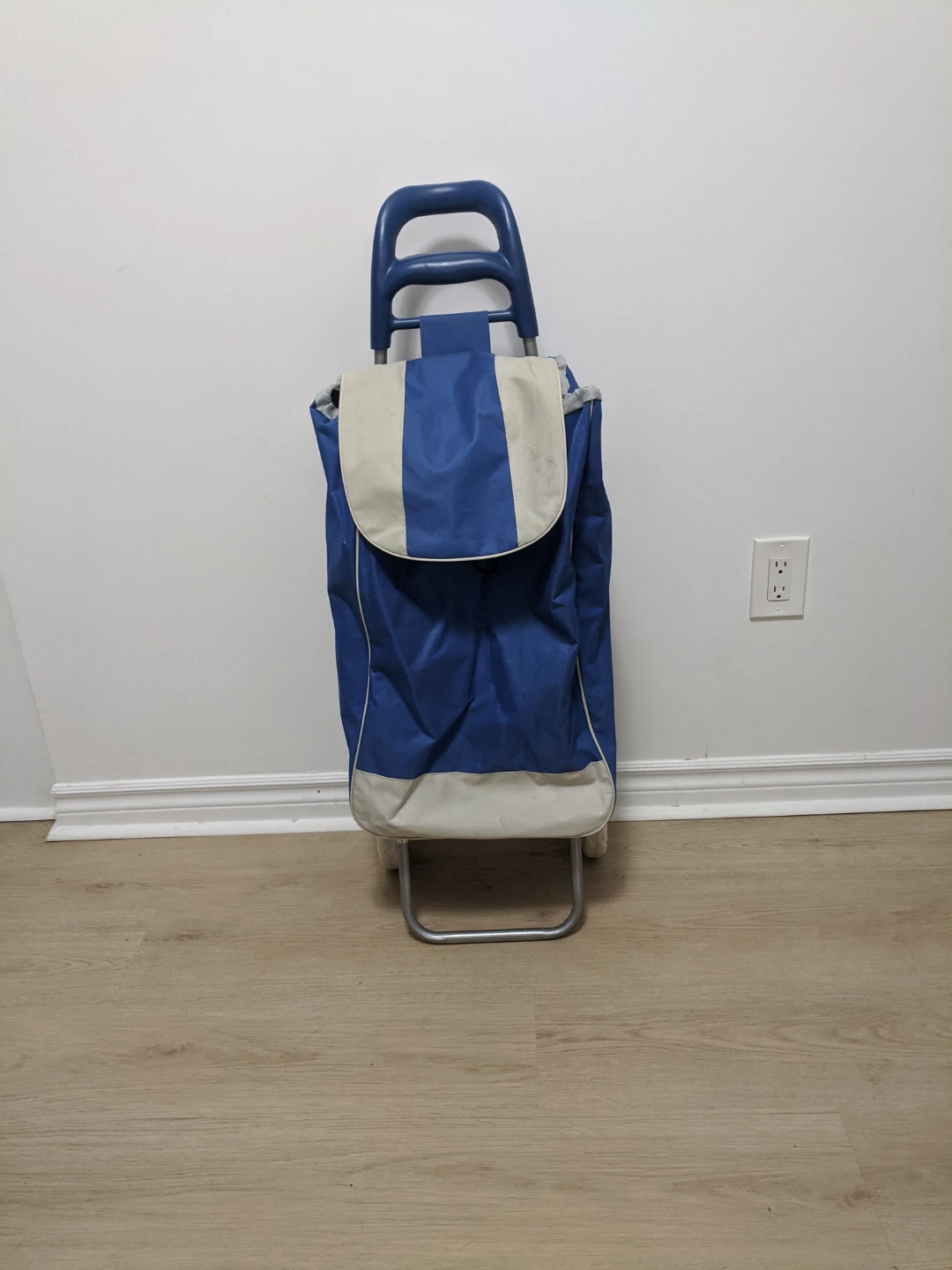 Blue Rolling Shopping Cart