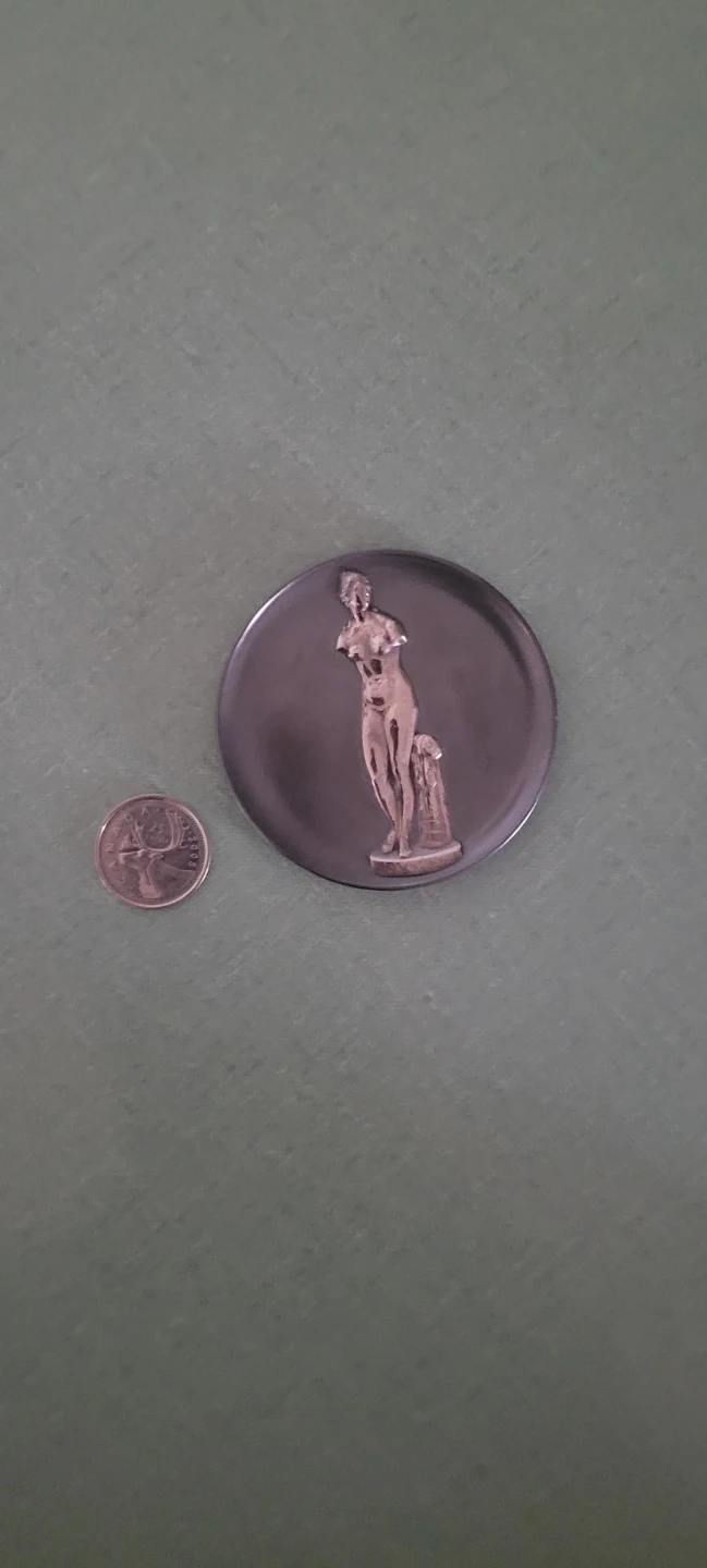 Museum medal, Russian - photo 2