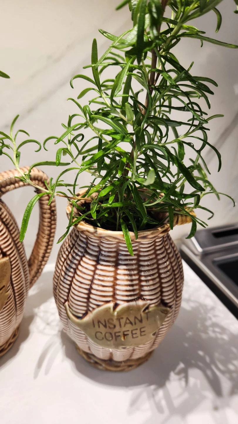 Upcycled 1970s coffee set with plants - photo 3
