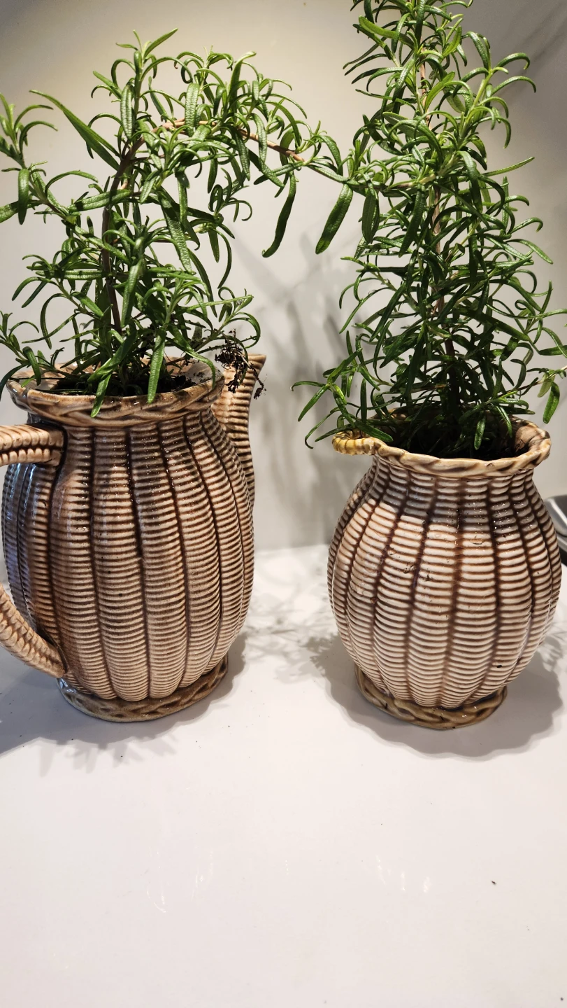 Upcycled 1970s coffee set with plants - photo 5