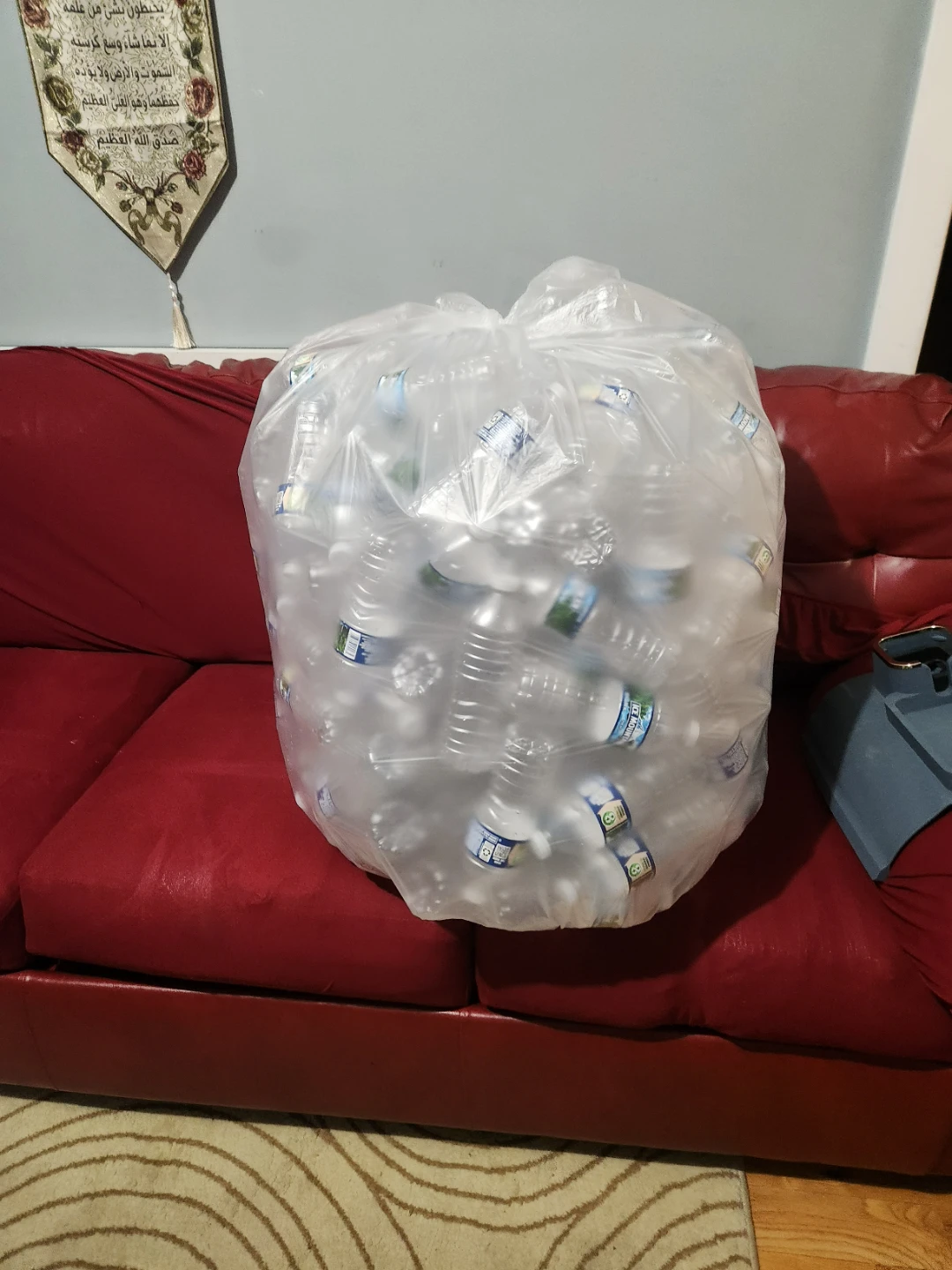 #free Bag of Empty Water Bottles