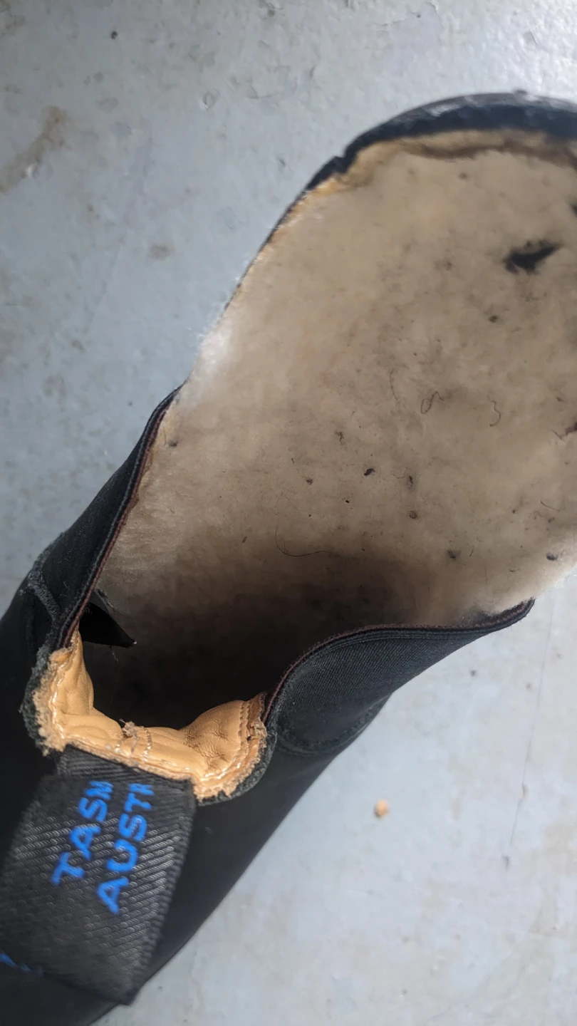 Blundstone Black Leather Chelsea Boots - photo 5