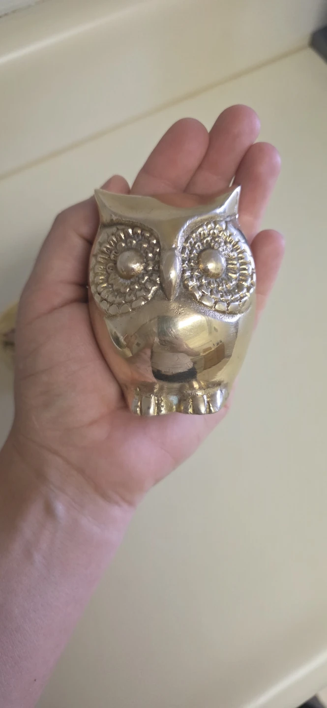 Brass Owl Figurines (Set of 2) - photo 4