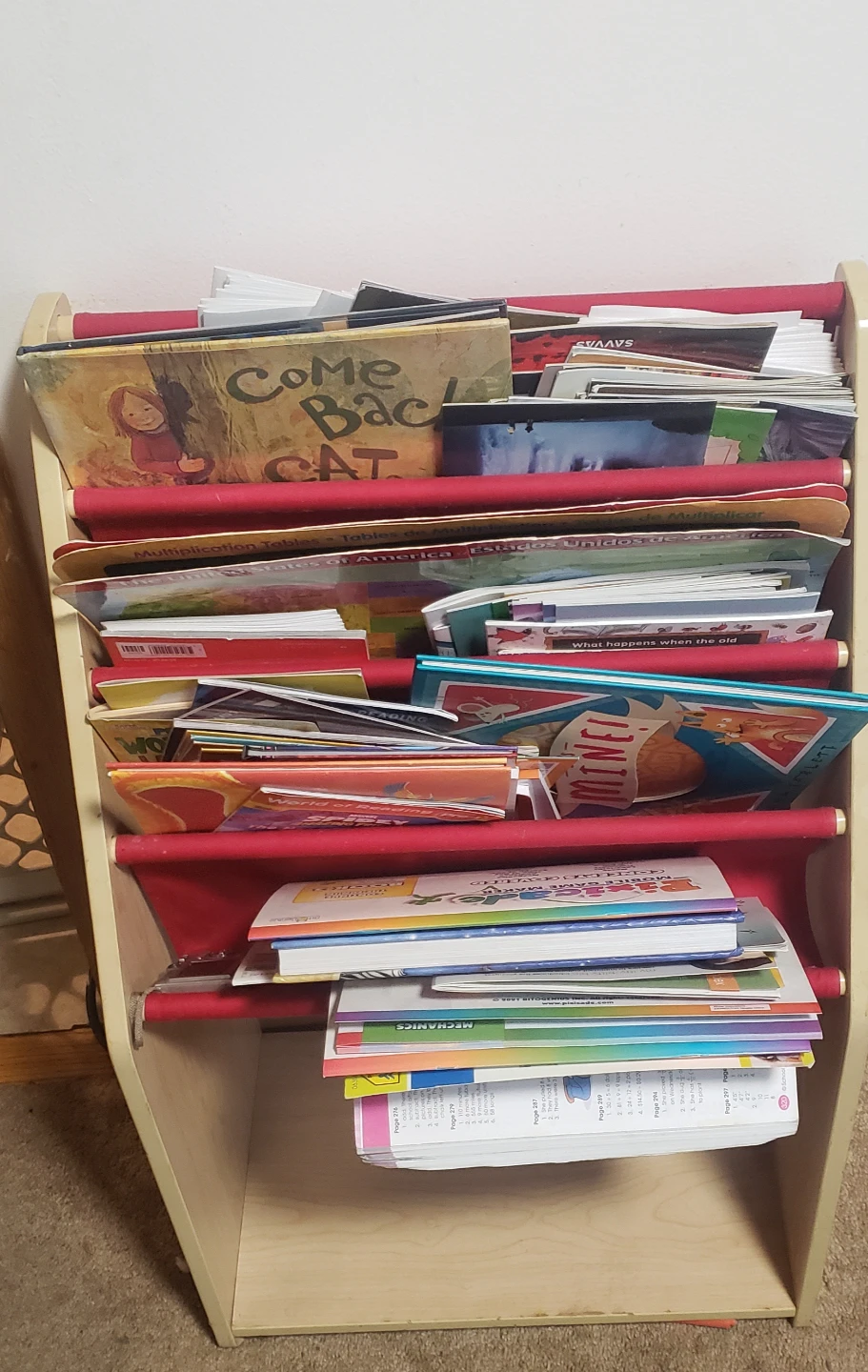 Children's Book Collection