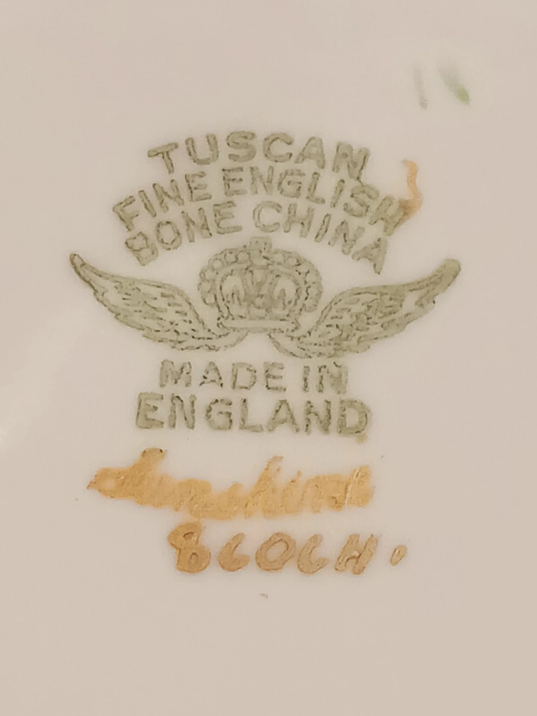 Tuscan Fine English Bone China Tea Cup and Saucer - photo 5